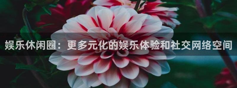 狗子28游戏：娱乐休闲圈：更多元化的娱乐体验和社交网络空间