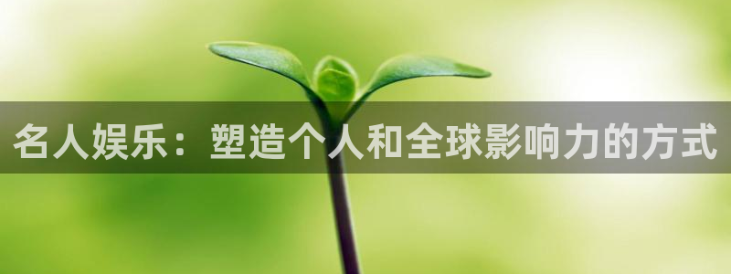 狗子28棋牌软件特色：名人娱乐：塑造个人和全球影响力的方式