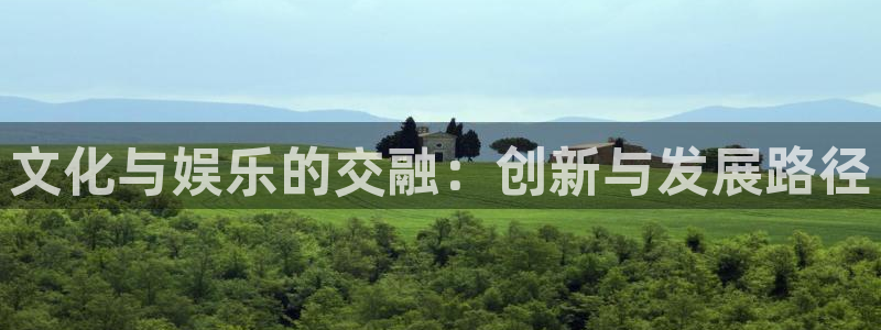 狗子28：文化与娱乐的交融：创新与发展路径