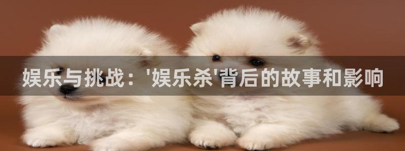 狗子28赏金国际下载：娱乐与挑战：\'娱乐杀\'背后的故事和影响