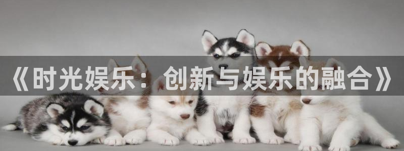 狗子28：《时光娱乐：创新与娱乐的融合》