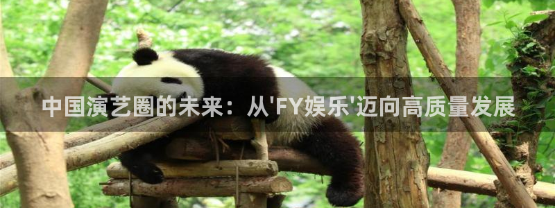 狗子28棋牌软件特色：中国演艺圈的未来：从\'FY娱乐\'迈向高质量发展