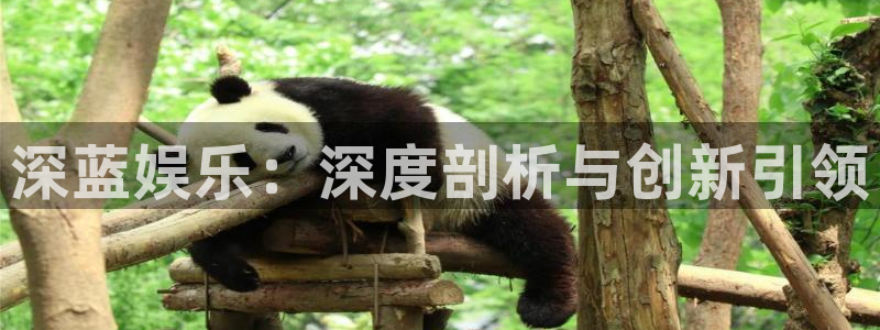 狗子28：深蓝娱乐：深度剖析与创新引领