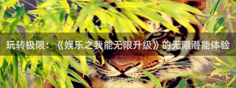 狗子28游戏官网入口注册：玩转极限：《娱乐之我能无限升级》的无限潜能体验