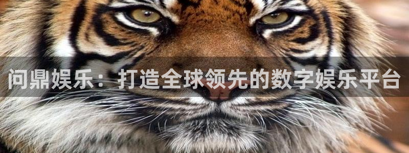 狗子28pg电子游戏：问鼎娱乐：打造全球领先的数字娱乐平台