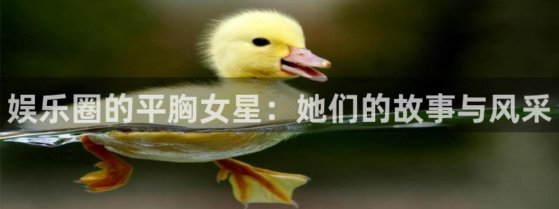 狗子28pg游戏官网版：娱乐圈的平胸女星：她们的故事与风采
