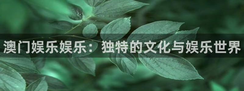 狗子28官网：澳门娱乐娱乐：独特的文化与娱乐世界