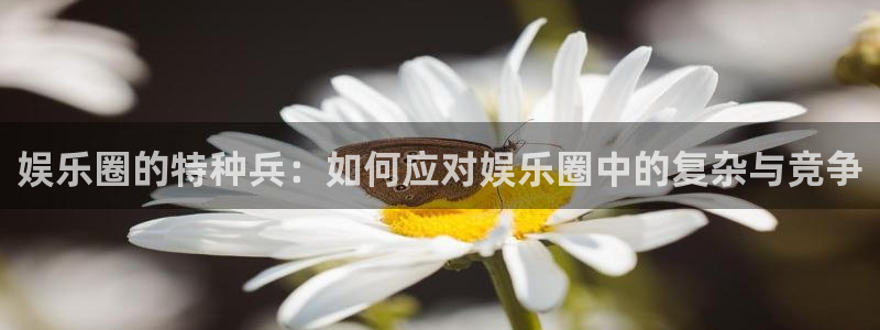 狗子28pg电子游戏：娱乐圈的特种兵：如何应对娱乐圈中的复杂与竞争