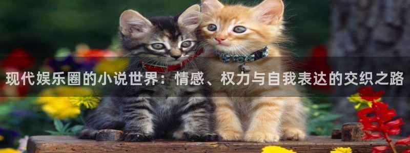 狗子28游戏官网入口注册：现代娱乐圈的小说世界：情感、权力与自我表达的交织之路
