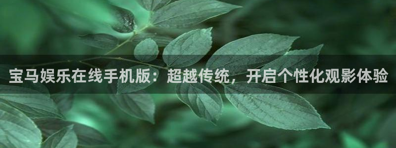狗子28：宝马娱乐在线手机版：超越传统，开启个性化观影体验