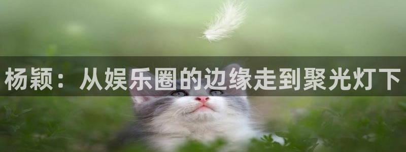 狗子28游戏官网入口注册：杨颖：从娱乐圈的边缘走到聚光灯下